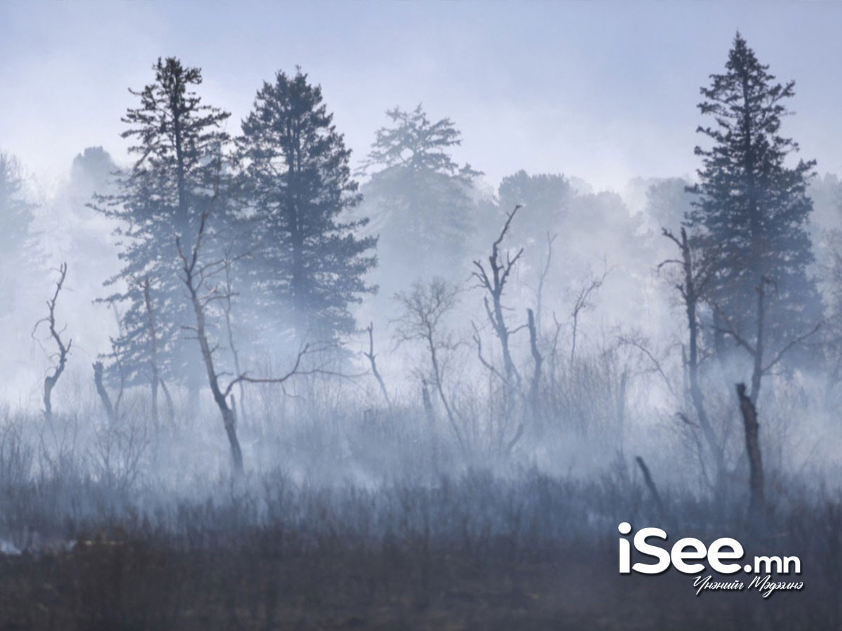 Хөвсгөлд гарсан хоёр ой, хээрийн түймрийг унтраахаар ажиллаж байна